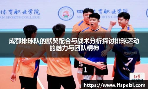 成都排球队的默契配合与战术分析探讨排球运动的魅力与团队精神
